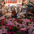 dscf0392-xf35mmf14-rjpg_19289130221_o.jpg