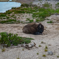 20154074-xf35mmf14-rjpg_24290661680_o.jpg