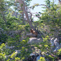 20154264-xf35mmf14-rjpg_24595611522_o.jpg