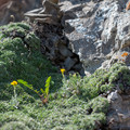 20154340-xf35mmf14-rjpg_24417974890_o.jpg