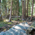 20154399-touit-28-12jpg_24588000815_o.jpg