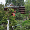 dscf5193-xf35mmf14-rjpg_26613066046_o.jpg