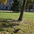 dscf6257-xf35mmf14-rjpg_29220333610_o.jpg