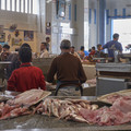ancient-medina-fish-market_37411255705_o.jpg