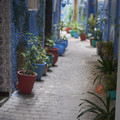 kasbah-street_37013296130_o.jpg