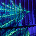 dscf4664_38603003705_o.jpg