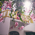 DSCF9675.jpg