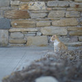 DSCF9699.jpg