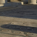 DSCF9754.jpg