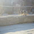DSCF9786.jpg