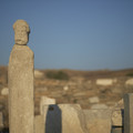 DSCF9803.jpg