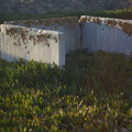 DSCF9816.jpg