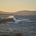 DSCF9864.jpg