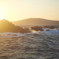 DSCF9876.jpg