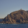 DSCF0730.jpg