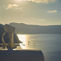 DSCF1181.jpg