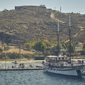 DSCF1184.jpg