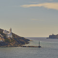 DSCF1187.jpg