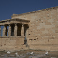 DSCF1642.jpg