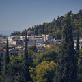 DSCF1774.jpg