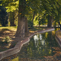 DSCF2013.jpg