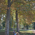 DSCF2018.jpg