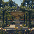 DSCF2200.jpg