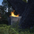 DSCF2736.jpg