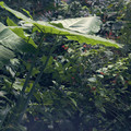 DSCF2743.jpg