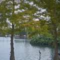 DSCF2768.jpg