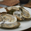 DSCF2788.jpg