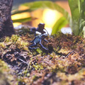 DSCF2949.jpg