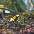 DSCF2950.jpg