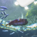 DSCF2954.jpg