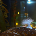 DSCF2961.jpg
