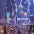 DSCF2967.jpg