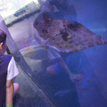 DSCF2981.jpg