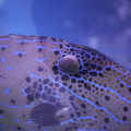 DSCF2985.jpg