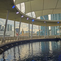 DSCF3002.jpg