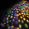 DSCF3339.jpg
