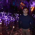 DSCF3353.jpg