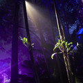 DSCF3356.jpg