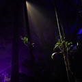 DSCF3358.jpg