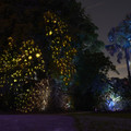 DSCF3399.jpg