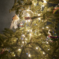 DSCF3591.jpg