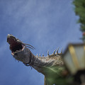 DSCF3726.jpg