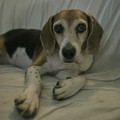 DSCF4219.jpg