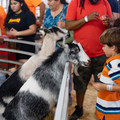 DSCF5614.jpg