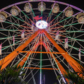 DSCF5714.jpg