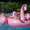 DSCF6741.jpg